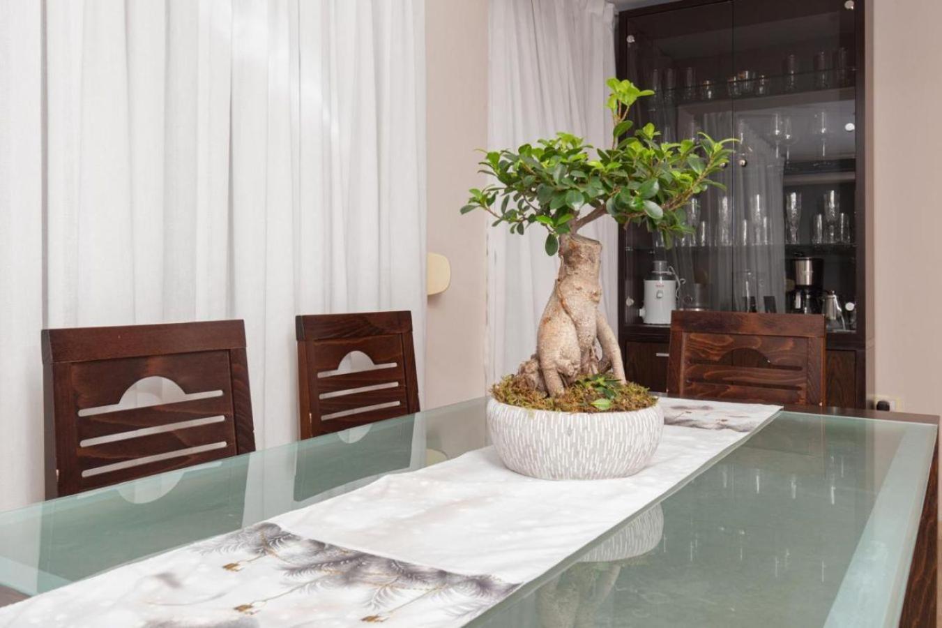 Chic & Serene Apartment-your Relaxing Oasis Tirana